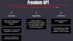 How to Use Freedom GPT